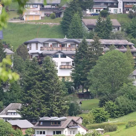 Todnauerberg Im Schwarzwald Hotel 4*
