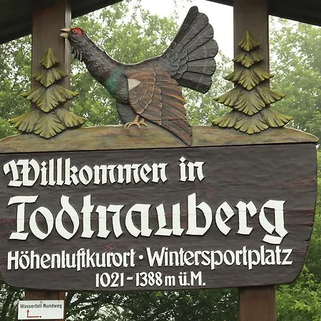 Todnauerberg Im Schwarzwald Todtnauberg
