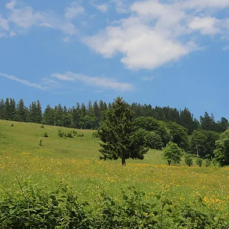 Todnauerberg Im Schwarzwald