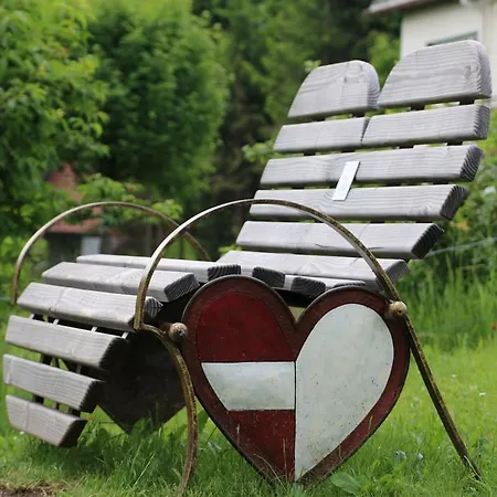 Hotel Todnauerberg Im Schwarzwald 4*