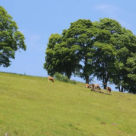 Todnauerberg Im Schwarzwald Hotel
