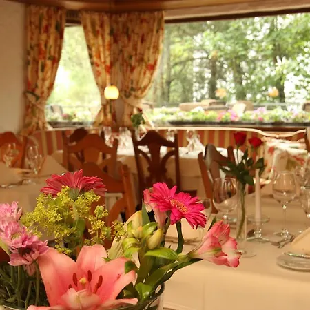 Hotel Todnauerberg Im Schwarzwald 4*