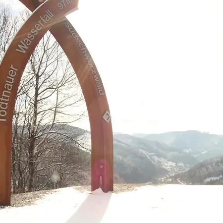 Todnauerberg Im Schwarzwald 4* Todtnauberg
