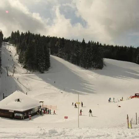 Todnauerberg Im Schwarzwald Todtnauberg