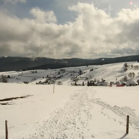 Hotel Todnauerberg Im Schwarzwald 4*