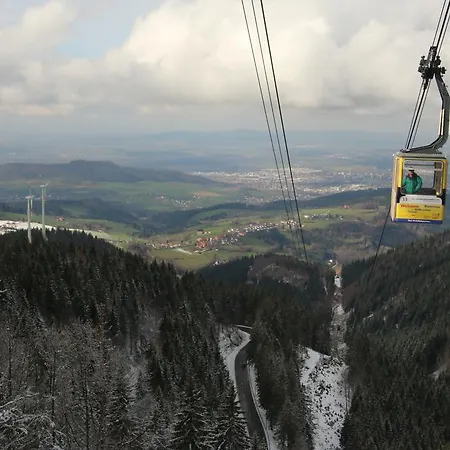 Todnauerberg Im Schwarzwald Hotel 4*