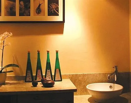 Todnauerberg Im Schwarzwald Hotel