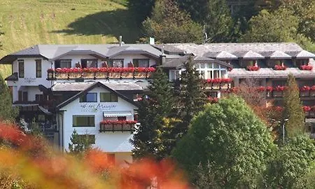 Hotel Todnauerberg Im Schwarzwald 4*