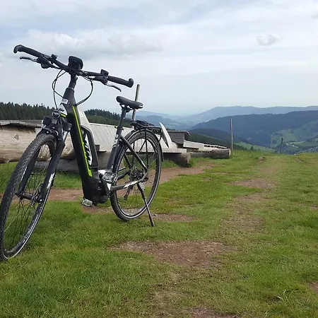Otel Todnauerberg Im Schwarzwald